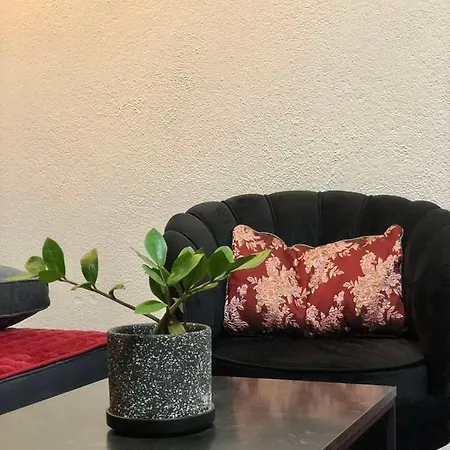 Dvokrevetni Studio Apartment